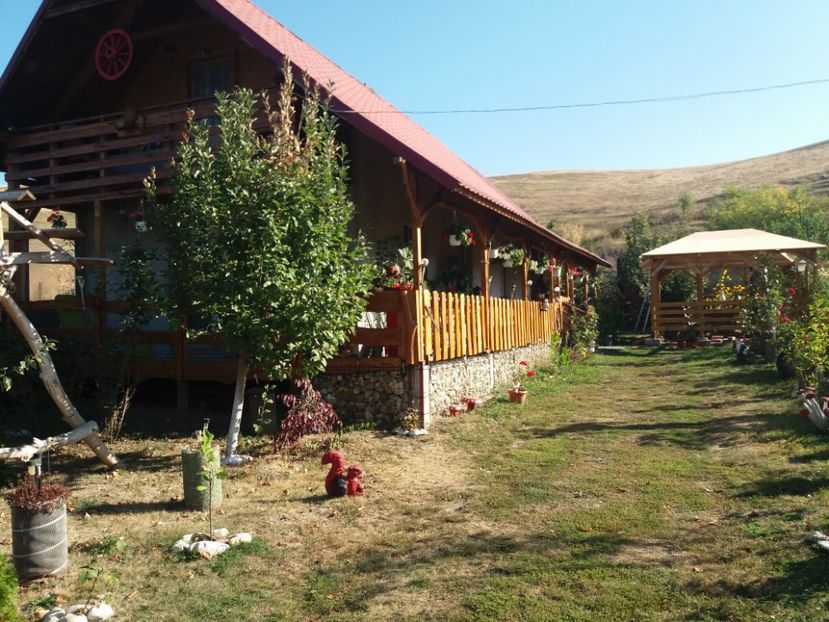  - toamna 2019