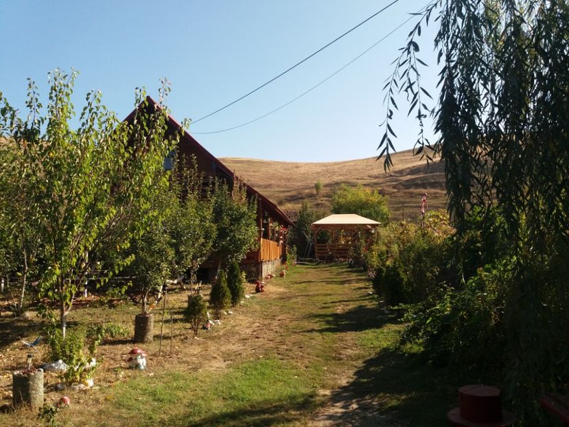  - toamna 2019