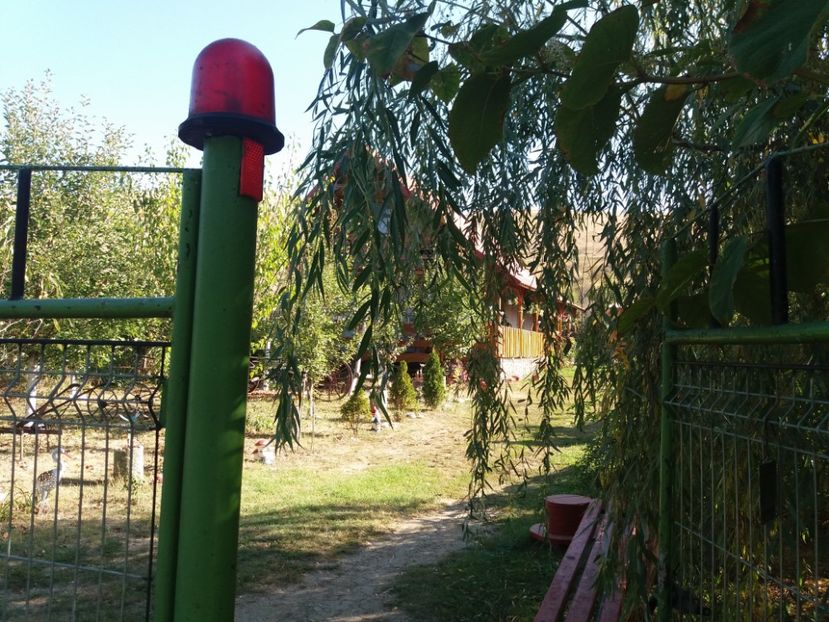  - toamna 2019