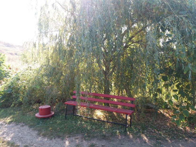  - toamna 2019