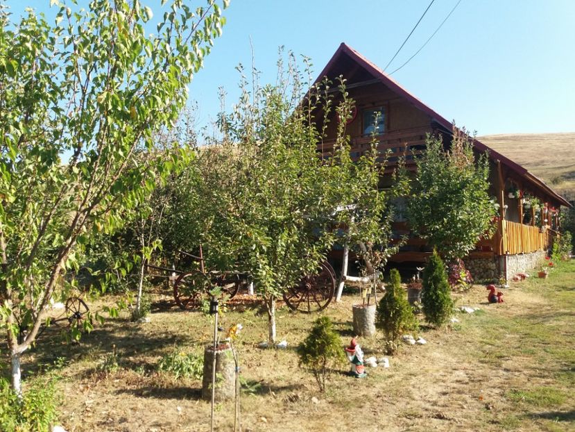  - toamna 2019