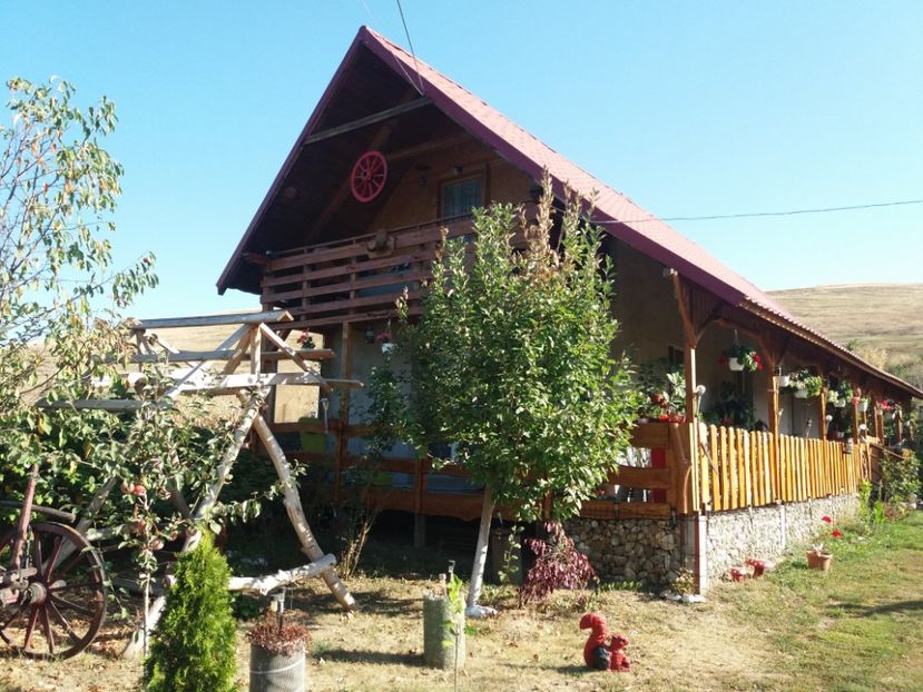  - toamna 2019