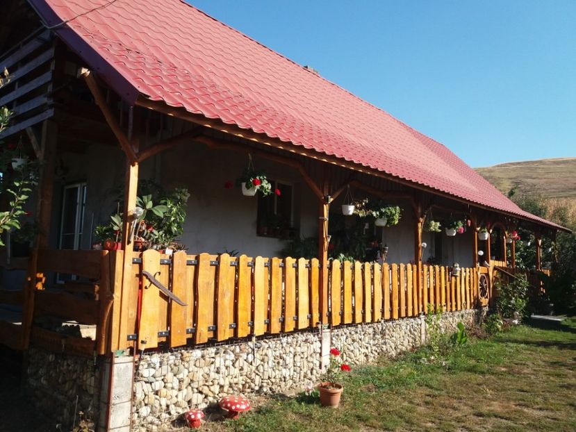  - toamna 2019