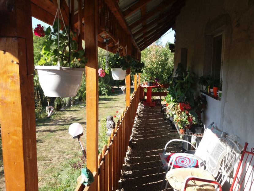  - toamna 2019