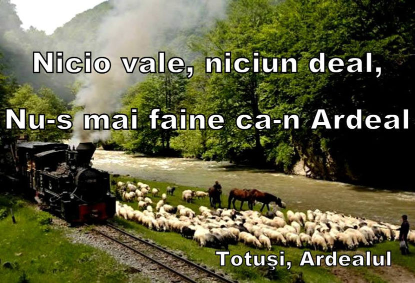  - Bancuri cu Ardeleni