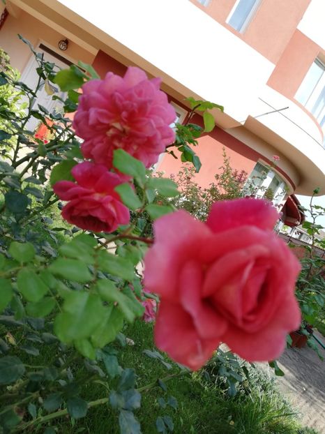  - Christopher Marlowe