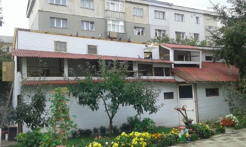 Voliera actuală - CONTACT-0742571875