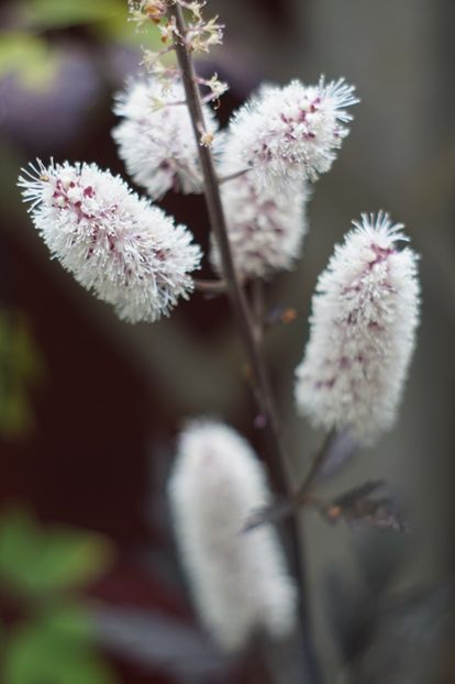  - Septembrie 2019- septembrie 2020