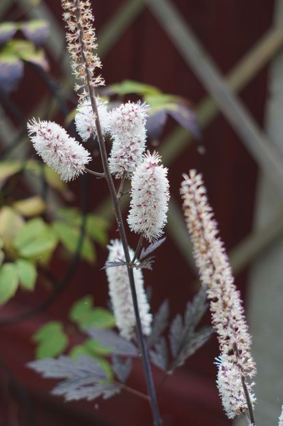  - Septembrie 2019- septembrie 2020