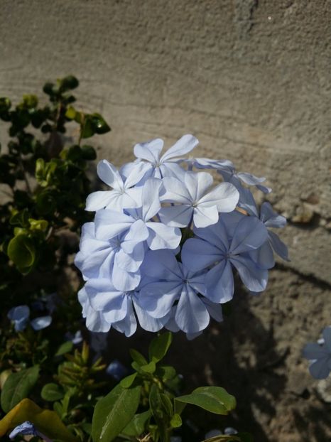  - curtea cu toate cele 2019