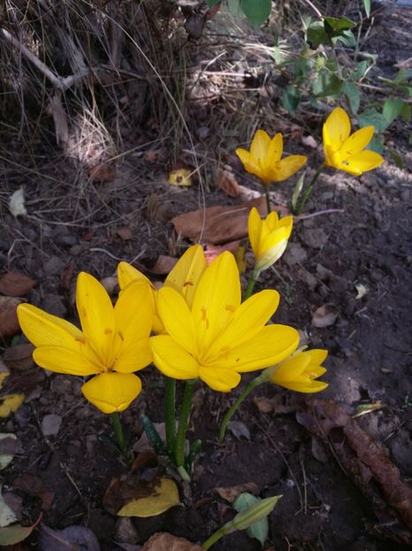  - curtea cu toate cele 2019