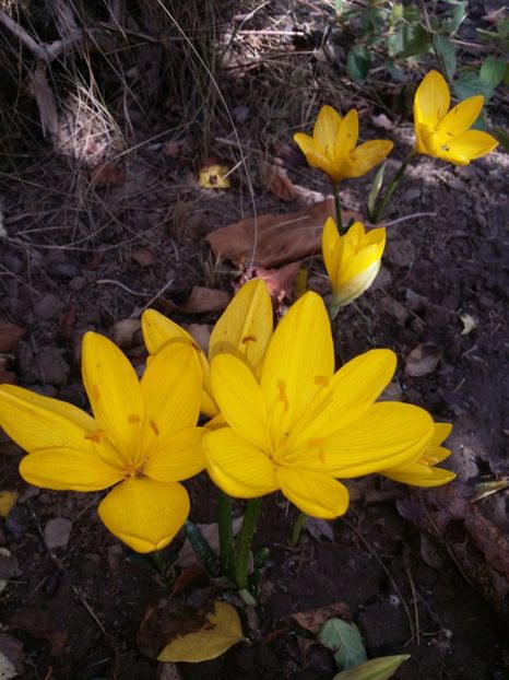  - curtea cu toate cele 2019