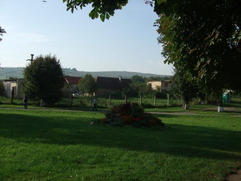 ROCK CLUB BORSA MARAMURES - FOSTUL SPITAL DE BOLI PSIHICE CRONICE ROCK CLUB BORSA MARAMURES resedinta privata