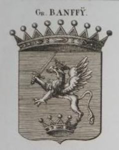 blazon al familiei BANFFY - FOSTUL SPITAL DE BOLI PSIHICE CRONICE ROCK CLUB BORSA MARAMURES resedinta privata