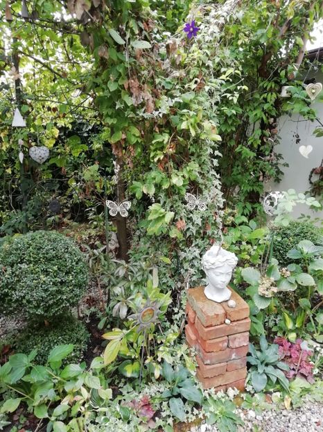  - Grădina 2019 sfârșit de sezon