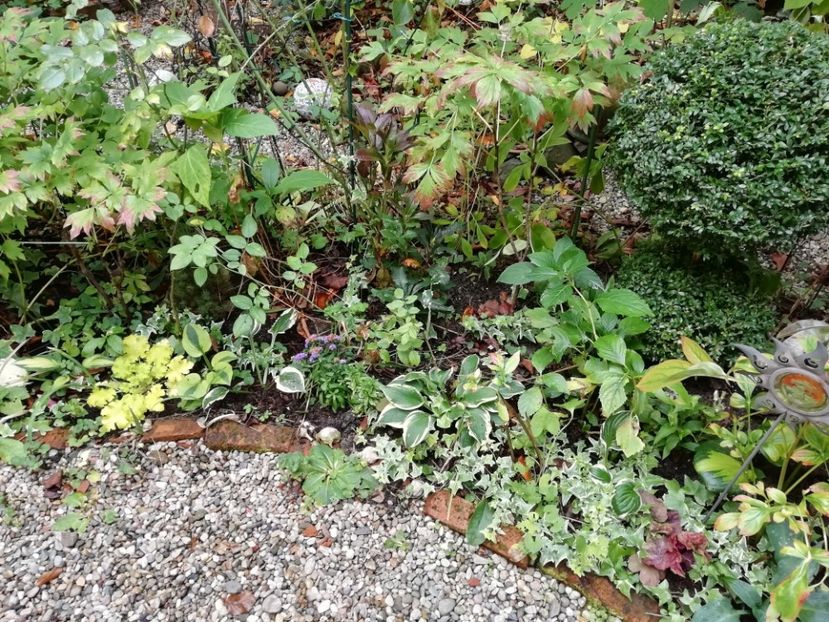  - Grădina 2019 sfârșit de sezon