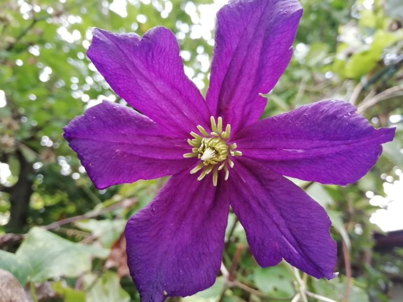  - Grădina 2019 sfârșit de sezon