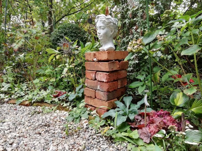  - Grădina 2019 sfârșit de sezon