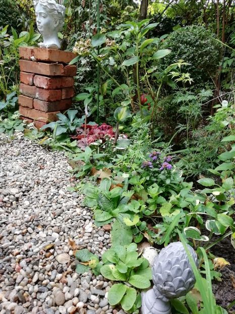  - Grădina 2019 sfârșit de sezon