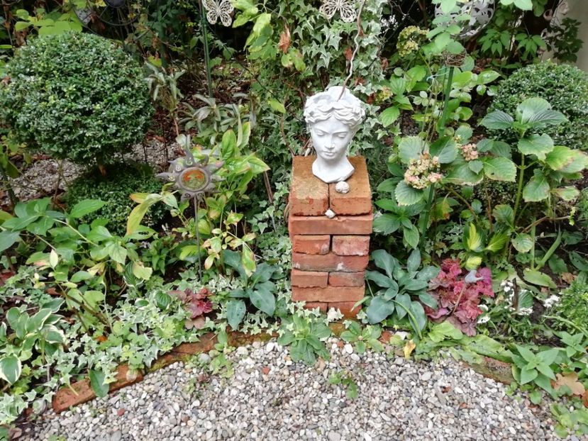  - Grădina 2019 sfârșit de sezon