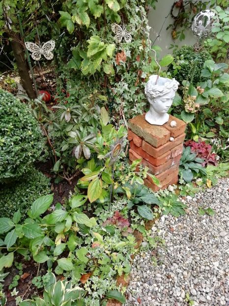  - Grădina 2019 sfârșit de sezon