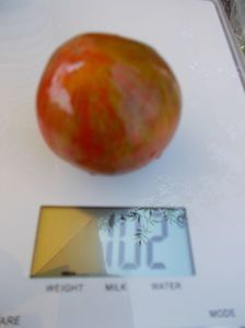  - SEMINTE ROSII - T 350 COEUR DE SURPRIZ