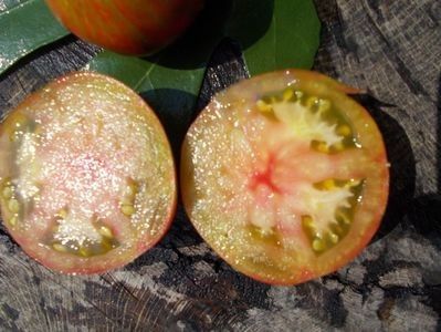  - SEMINTE ROSII - T 350 COEUR DE SURPRIZ