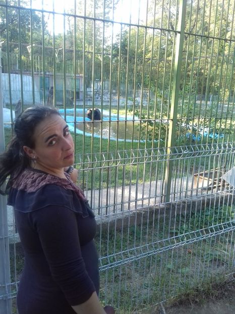  - Vâlcea zoo