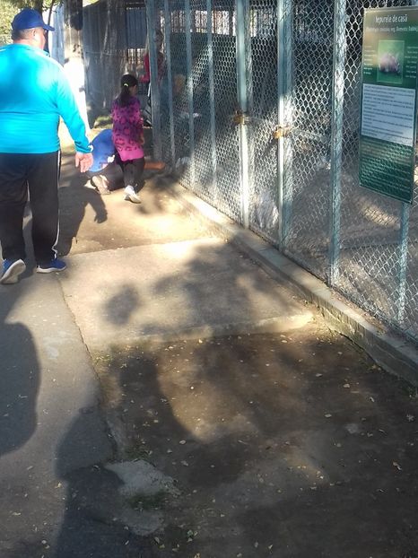  - Vâlcea zoo