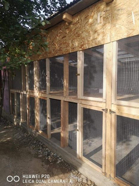  - Adăpost Păsări 2019