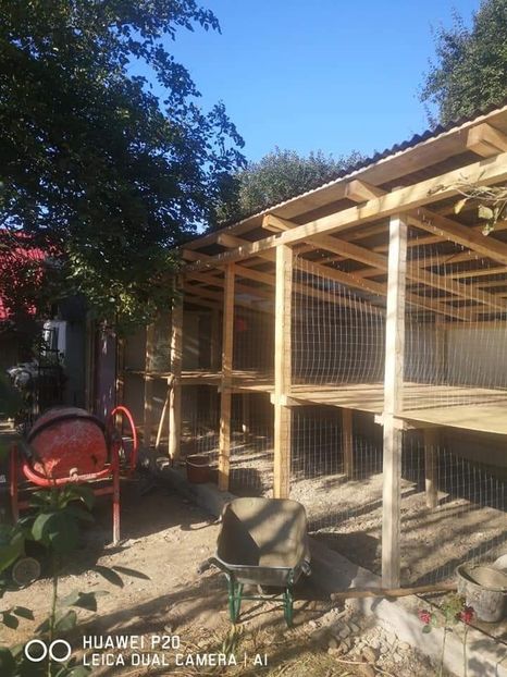  - Adăpost Păsări 2019