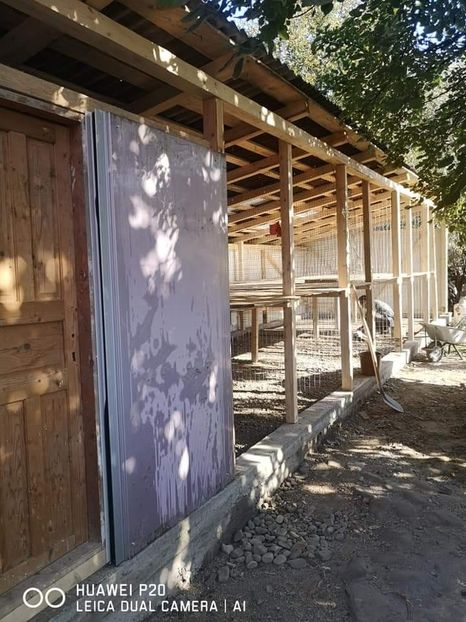  - Adăpost Păsări 2019