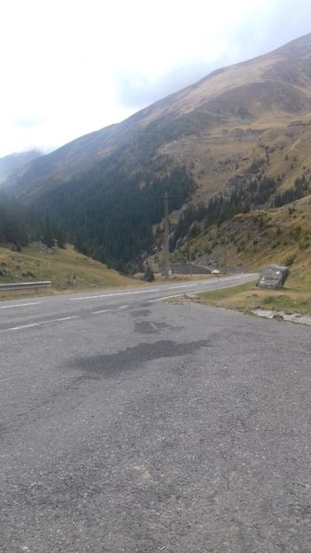  - Curtea de Argeș 2018