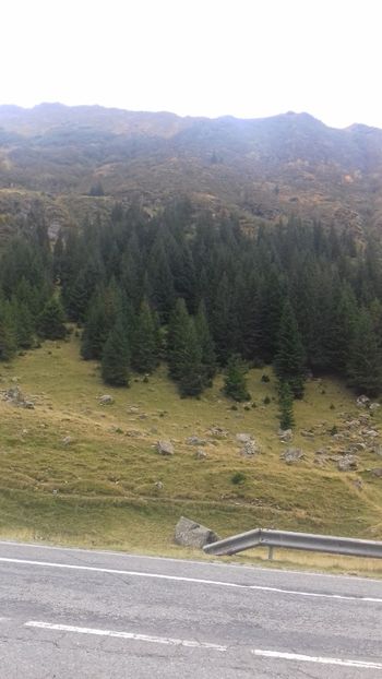 20190930_152931(0) - Curtea de Argeș 2018