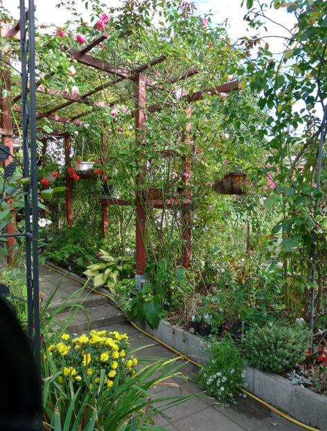  - 2019 - 03 - Toamna