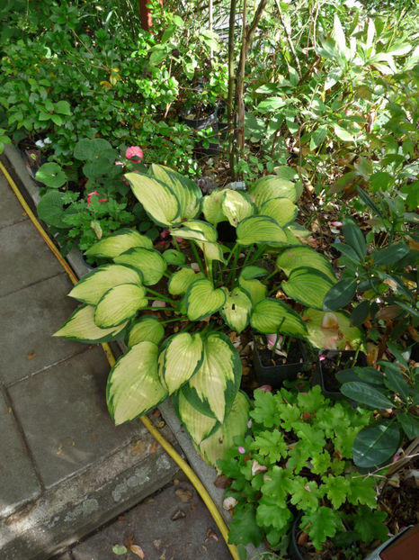  - 2019 - 03 - Toamna