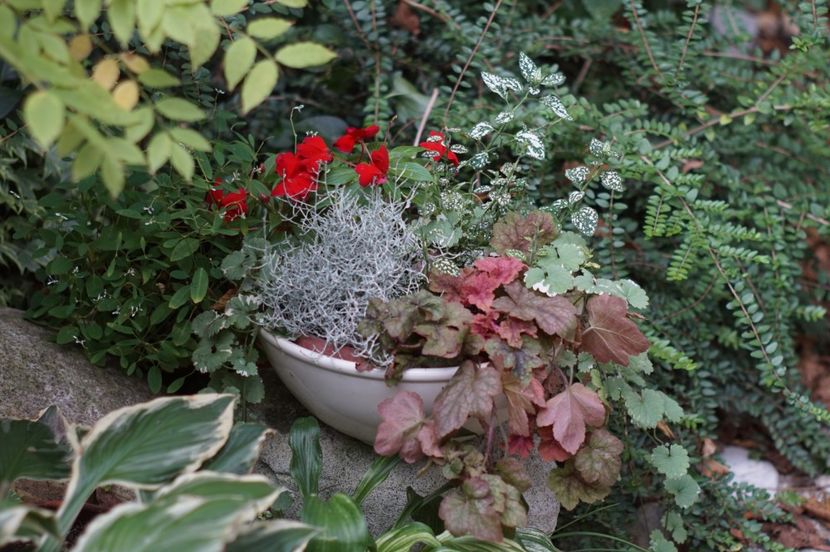  - Septembrie 2019- septembrie 2020