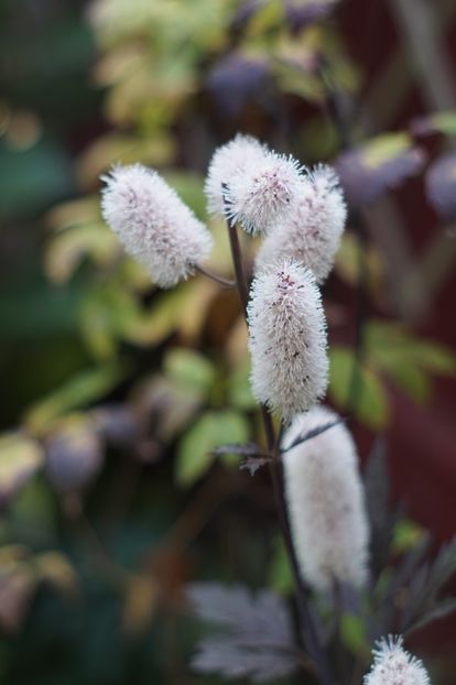  - Septembrie 2019- septembrie 2020