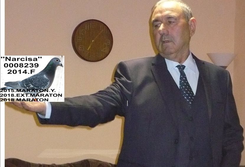 28= - 2019 POZZE COLUMBOFILI