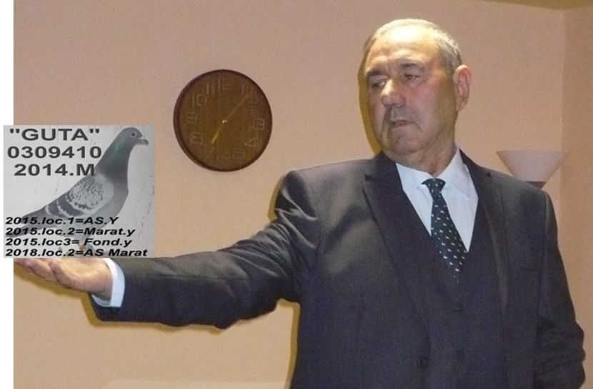 29= - 2019 POZZE COLUMBOFILI