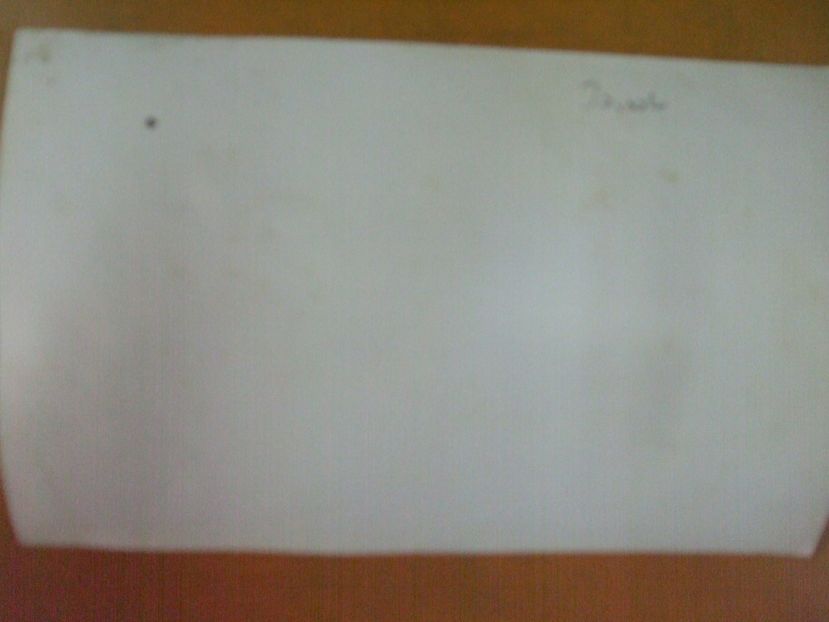 Miezul Fierbinte Al Painii - Miezul Fierbinte Al Painii 1983