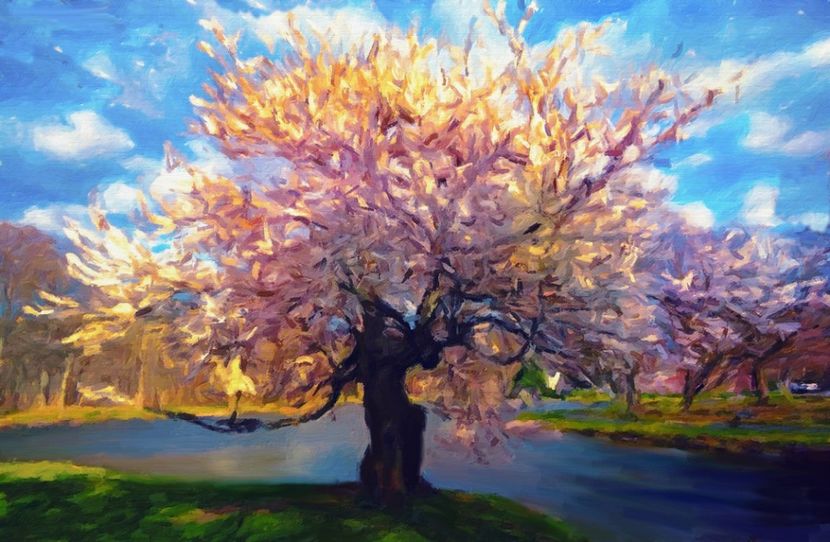 293 - Tablouri- peisaje