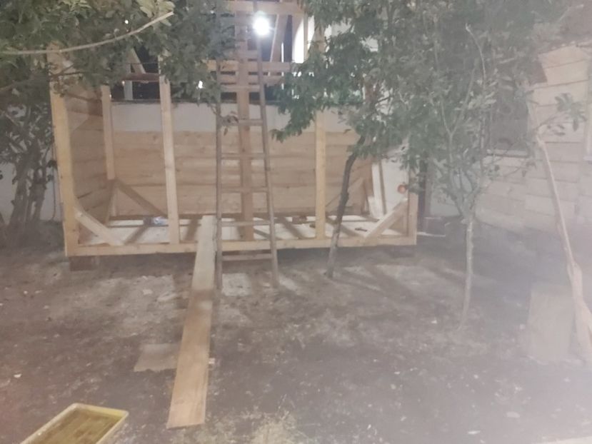  - Poze volier si lotul de porumbei