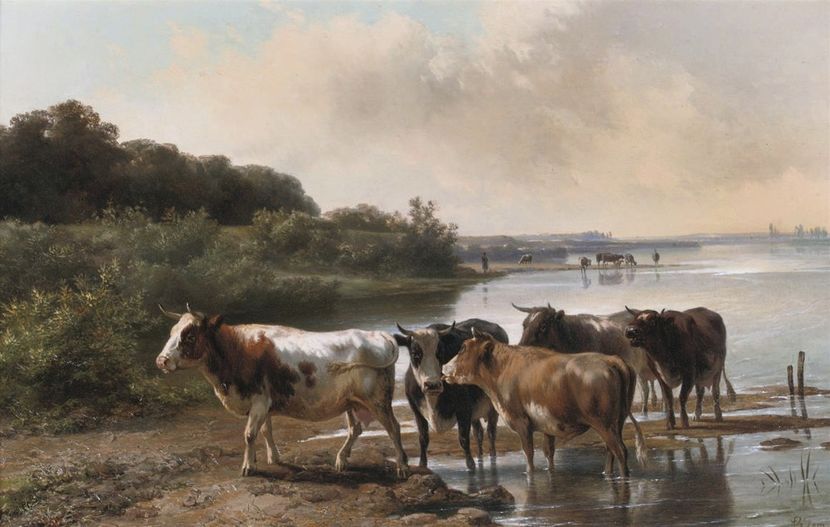 111 - Tablouri - viata la tara