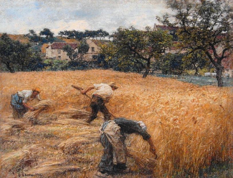 113 - Tablouri - viata la tara