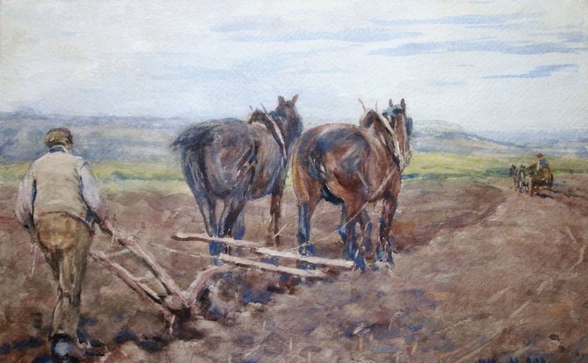 116 - Tablouri - viata la tara