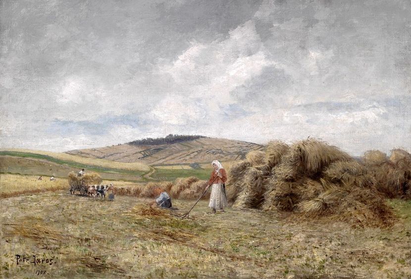 121 - Tablouri - viata la tara