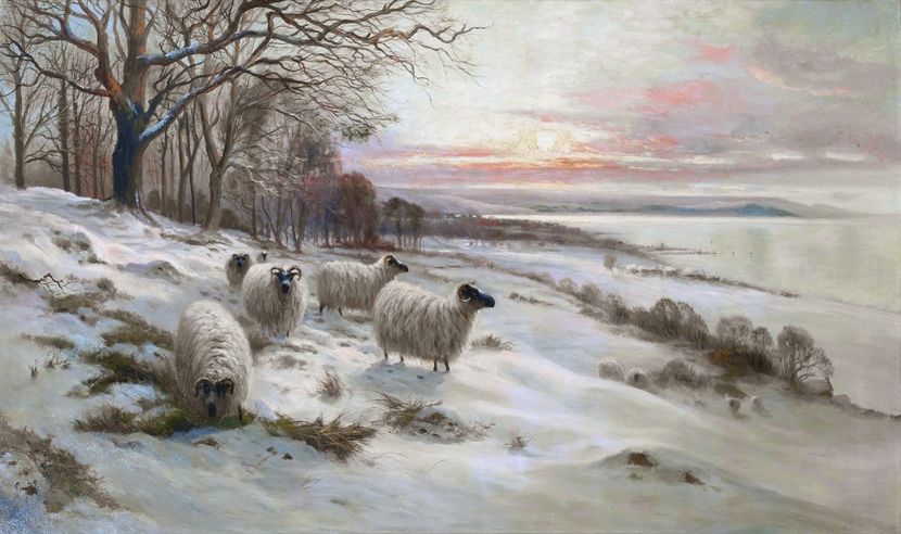 132 - Tablouri - viata la tara