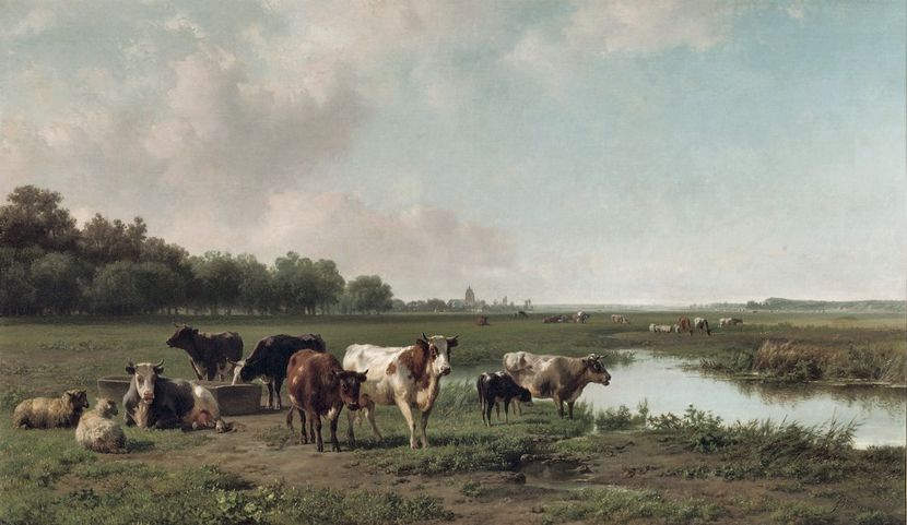 135 - Tablouri - viata la tara