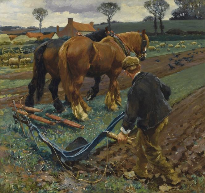 144 - Tablouri - viata la tara